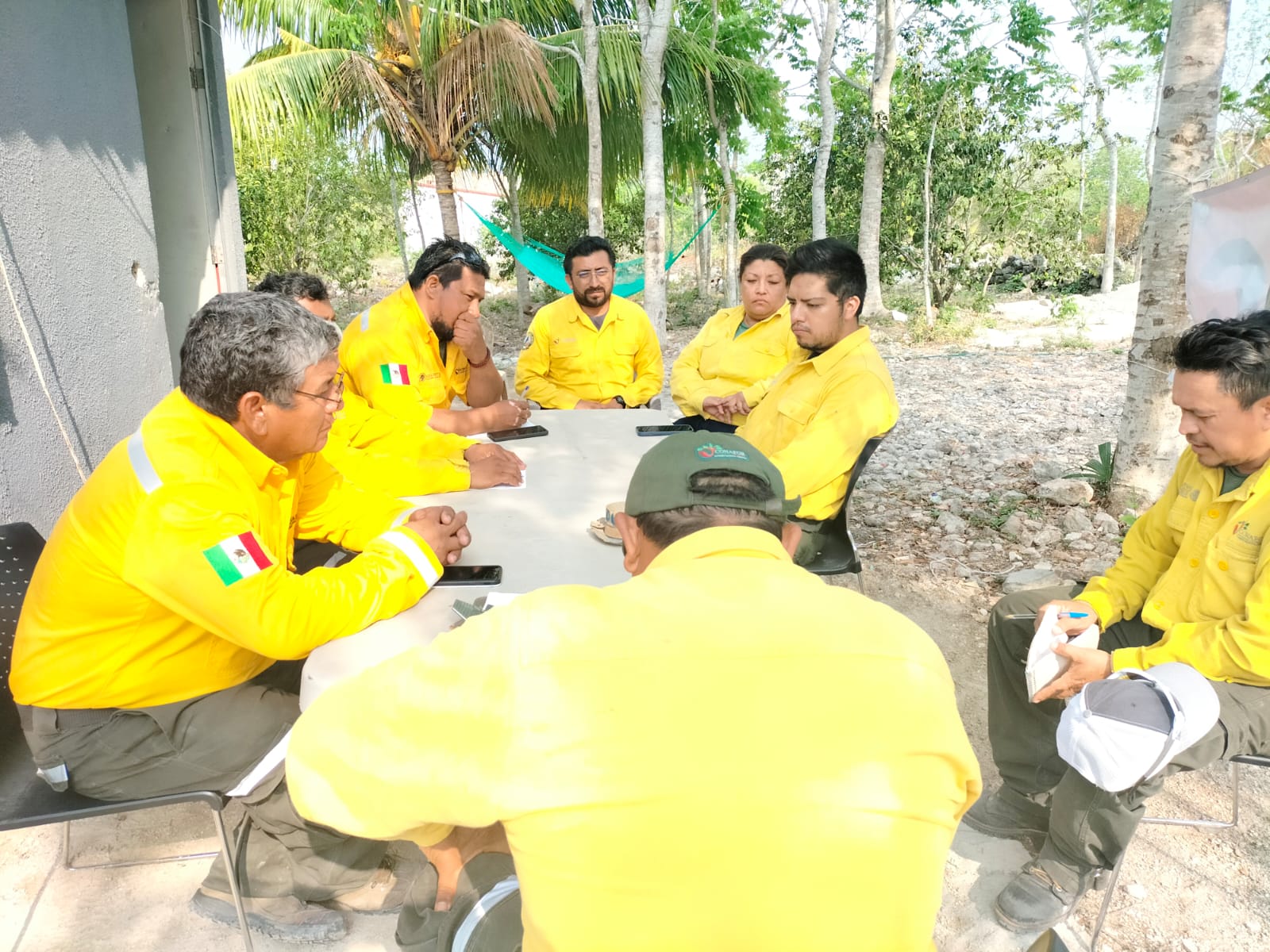 SITUACIÓN DE INCENDIOS FORESTALES