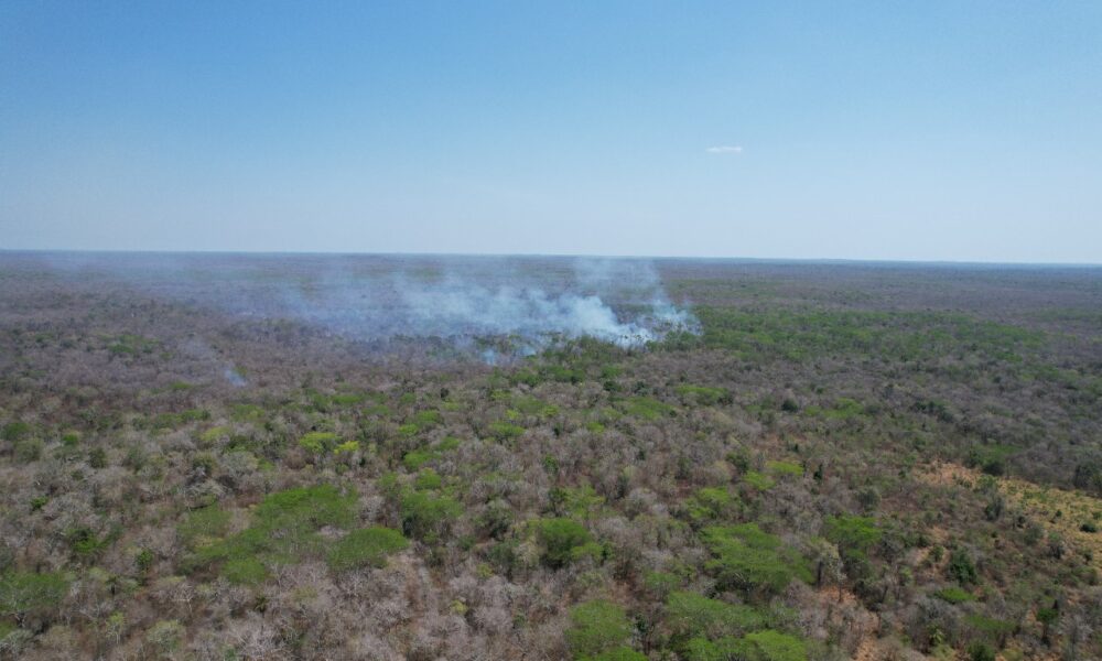 SITUACIÓN DE INCENDIOS FORESTALES