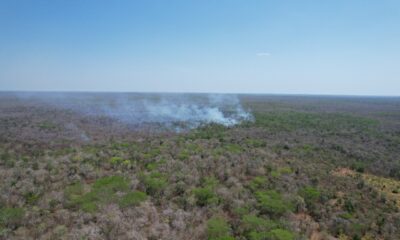 SITUACIÓN DE INCENDIOS FORESTALES