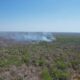 SITUACIÓN DE INCENDIOS FORESTALES