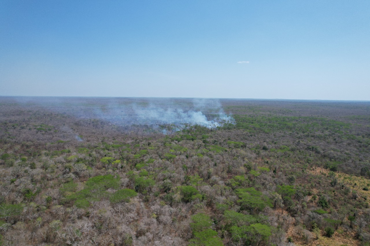 SITUACIÓN DE INCENDIOS FORESTALES