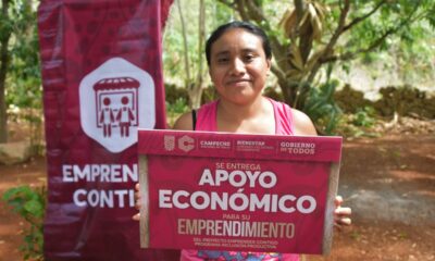 DESTINAN 225 MIL PESOS PARA RESCATAR EL CULTIVO DE PALMA DE JIPI