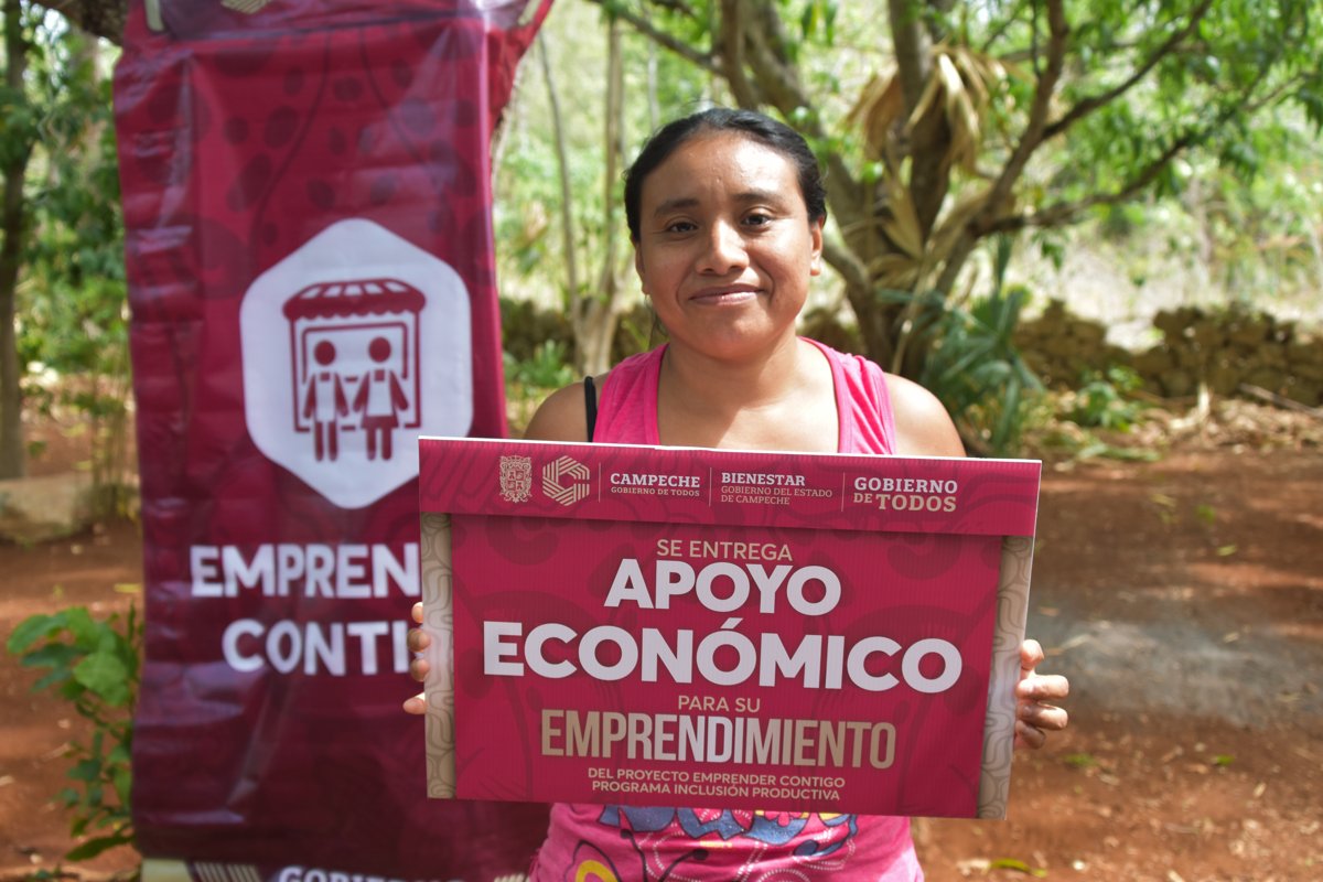 DESTINAN 225 MIL PESOS PARA RESCATAR EL CULTIVO DE PALMA DE JIPI