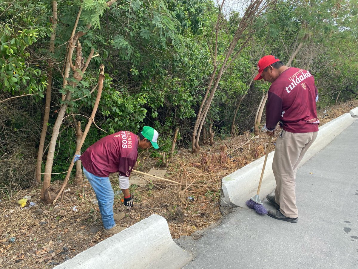 SEDUMOP TRABAJA EN AV. COSTERA