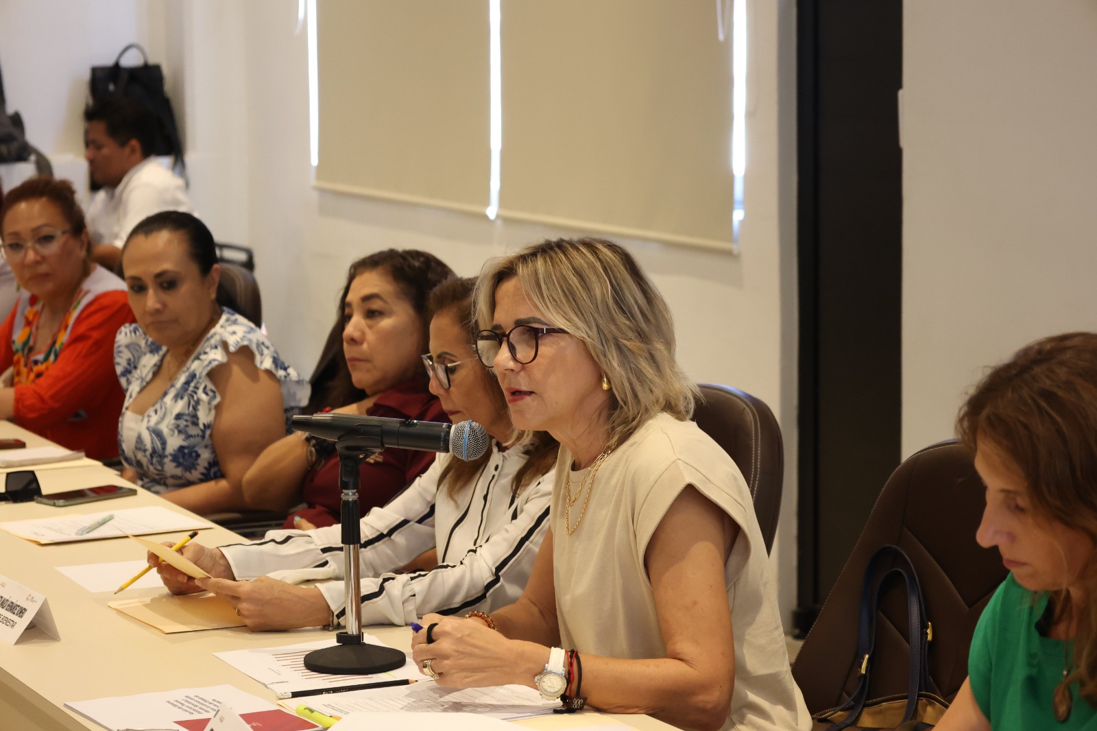 Imec Une Esfuerzos Con Instituciones Públicas Y Estatales Para Atender La Violencia Contra Las Mujeres, Niñas Y Adolescentes