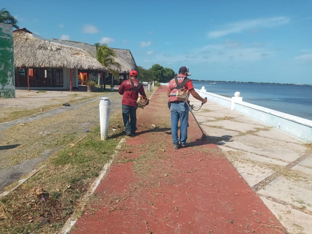 TITULAR DE LA SEDUMOP RECORRE COCTELEROS