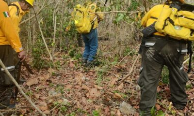 SITUACIÓN DE INCENDIOS FORESTALES Y PUNTOS DE CALOR