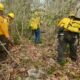 SITUACIÓN DE INCENDIOS FORESTALES Y PUNTOS DE CALOR