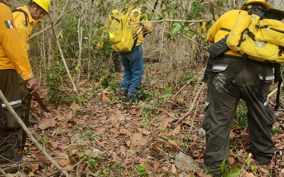 SITUACIÓN DE INCENDIOS FORESTALES Y PUNTOS DE CALOR