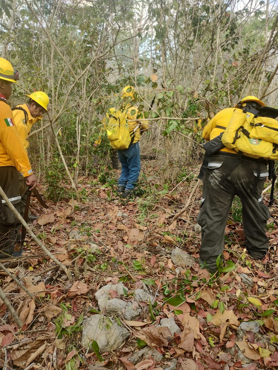 SITUACIÓN DE INCENDIOS FORESTALES Y PUNTOS DE CALOR