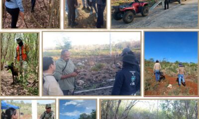 LA CLBP INTENSIFICA LABORES DE BÚSQUEDA EN EL POBLADO BECAL, MUNICIPIO DE CALKINÍ, PARA LOCALIZAR A PERSONA REPORTADA COMO DESAPARECIDA
