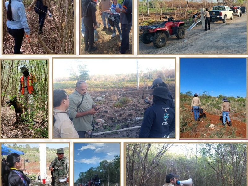 LA CLBP INTENSIFICA LABORES DE BÚSQUEDA EN EL POBLADO BECAL, MUNICIPIO DE CALKINÍ, PARA LOCALIZAR A PERSONA REPORTADA COMO DESAPARECIDA