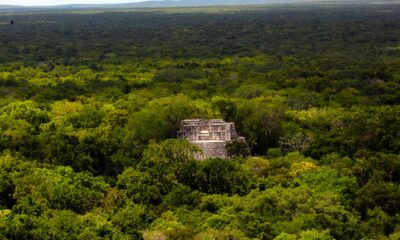10 AÑOS DE LA INSCRIPCIÓN DE CALAKMUL COMO BIEN MIXTO