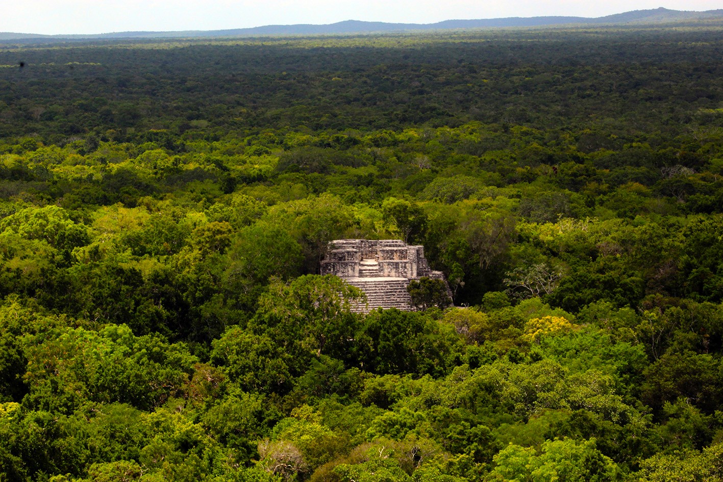 10 AÑOS DE LA INSCRIPCIÓN DE CALAKMUL COMO BIEN MIXTO