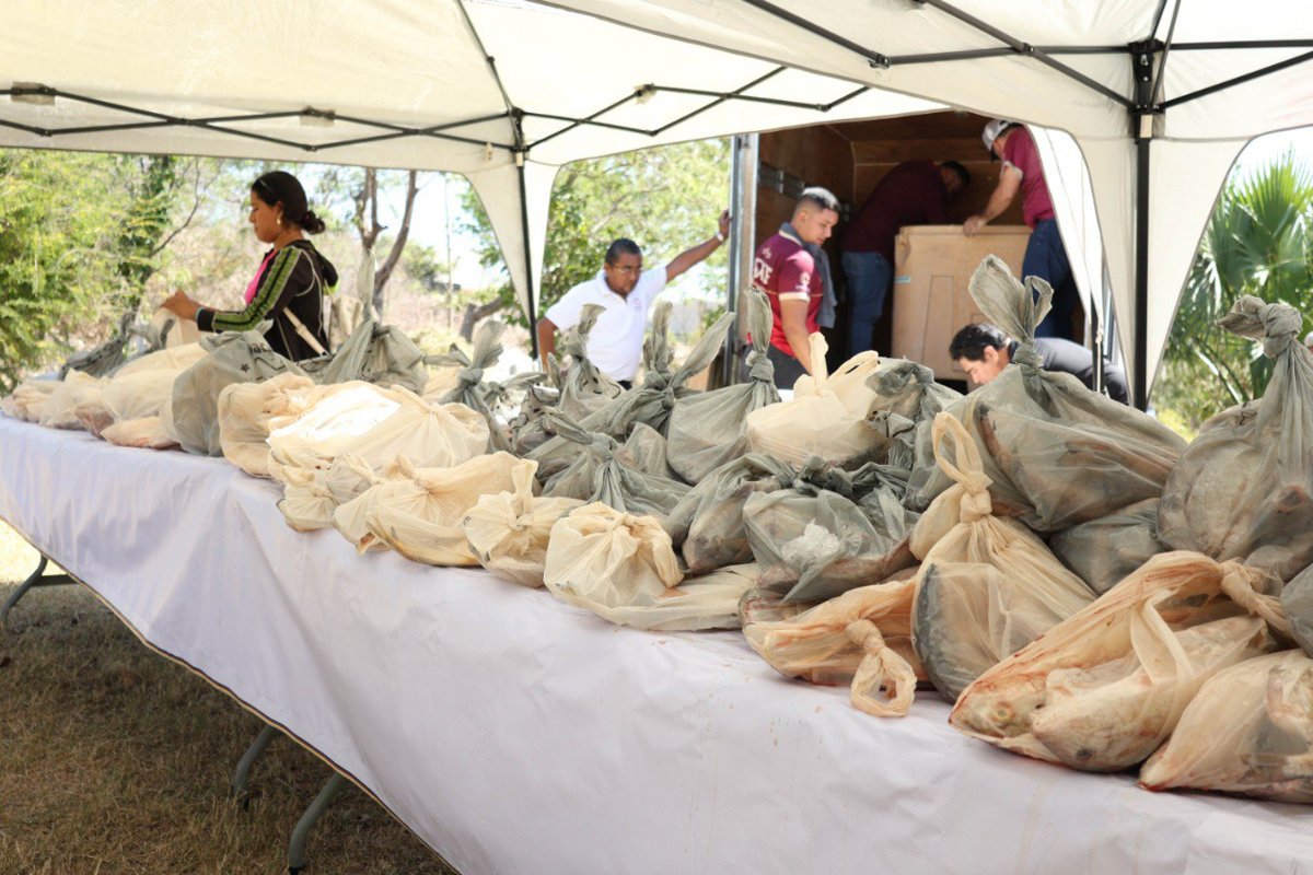 FAMILIAS DE 8 COLONIAS DE CAMPECHE RECIBEN PESCADO