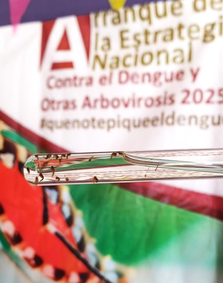 PARTICIPA CAMPECHE EN LA ESTRATEGIA NACIONAL CONTRA EL DENGUE Y OTRAS ARBOVIROSIS 2025