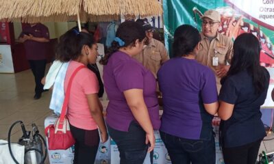 PARTICIPA CAMPECHE EN LA ESTRATEGIA NACIONAL CONTRA EL DENGUE Y OTRAS ARBOVIROSIS 2025