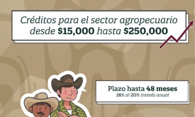 ACÉRCATE A BANCAMPECHE Y CONOCE EL PRODUCTO DE CRÉDITO AGROPECUARIO