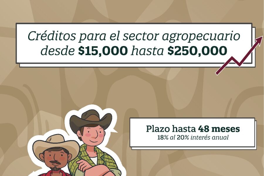ACÉRCATE A BANCAMPECHE Y CONOCE EL PRODUCTO DE CRÉDITO AGROPECUARIO