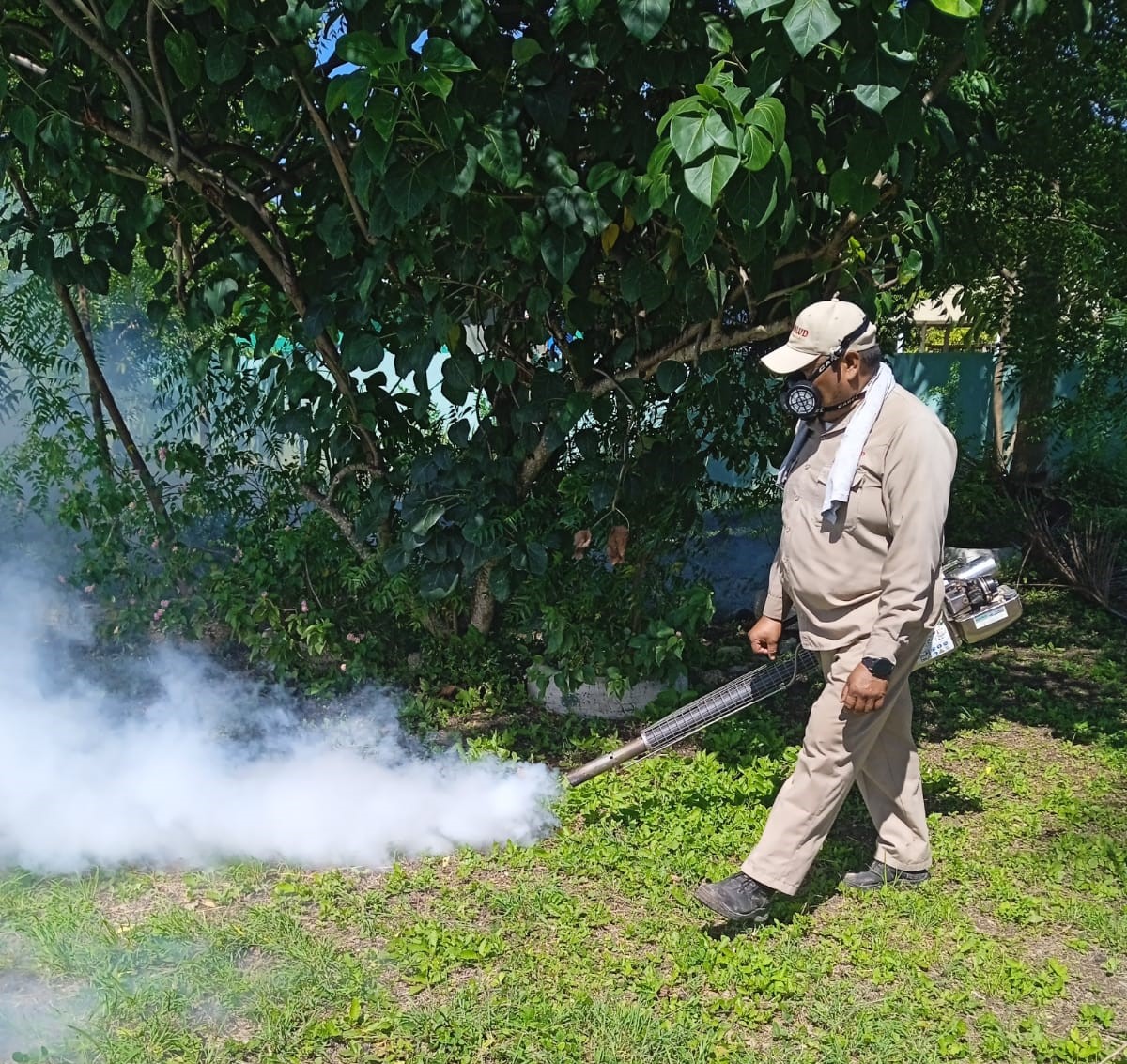ELIMINAN CRIADEROS DE MOSQUITOS CON CONTROL LARVARIO PARA PREVENIR EL DENGUE