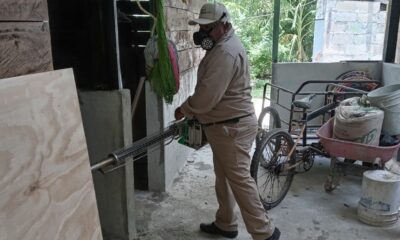PERMANENTE EL COMBATE AL DENGUE EN CAMPECHE