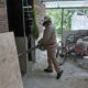 PERMANENTE EL COMBATE AL DENGUE EN CAMPECHE