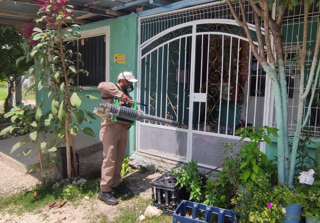 PERMANENTE EL COMBATE AL DENGUE EN CAMPECHE