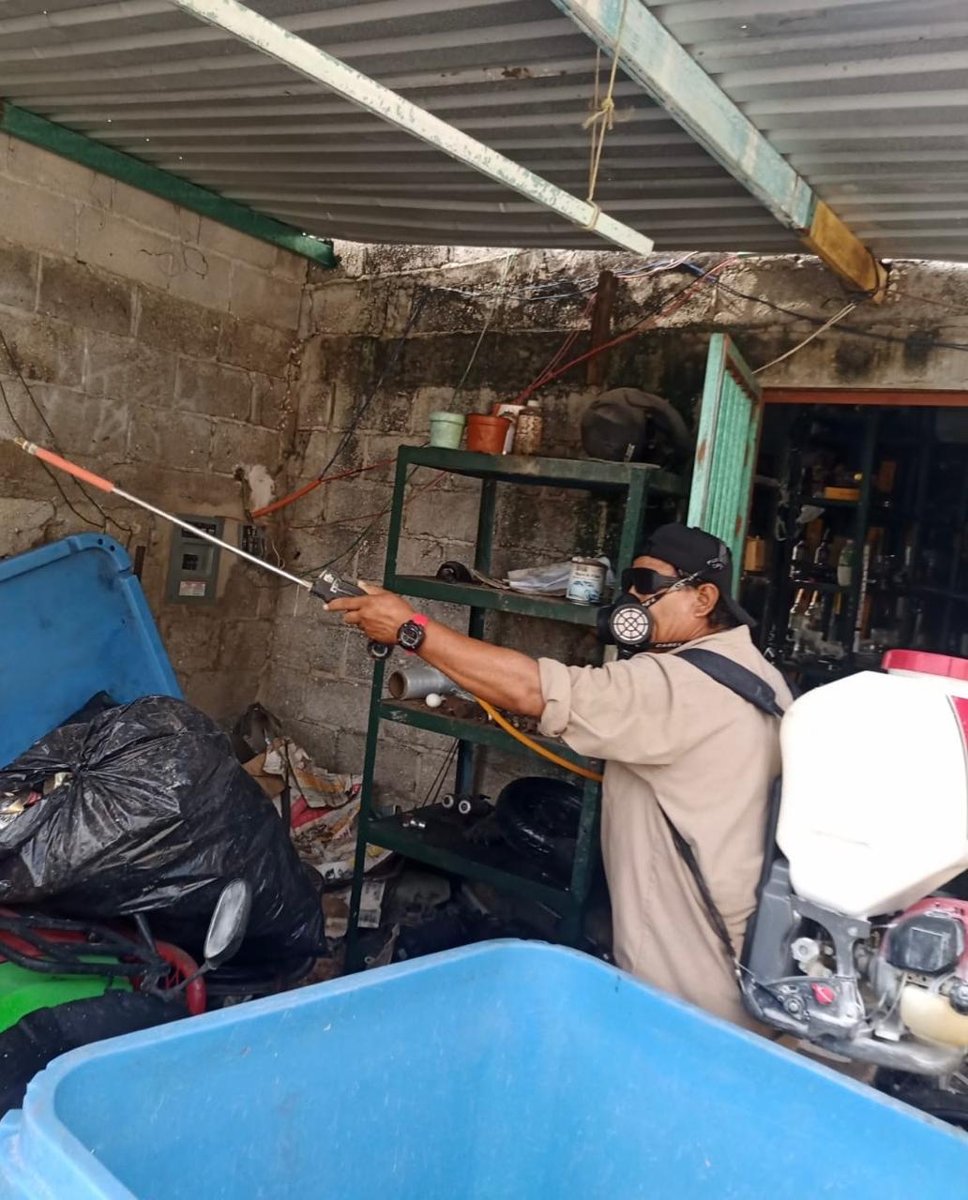 INTENSIFICAN ACCIONES CONTRA EL DENGUE PARA PROTEGER LA SALUD DE TODOS