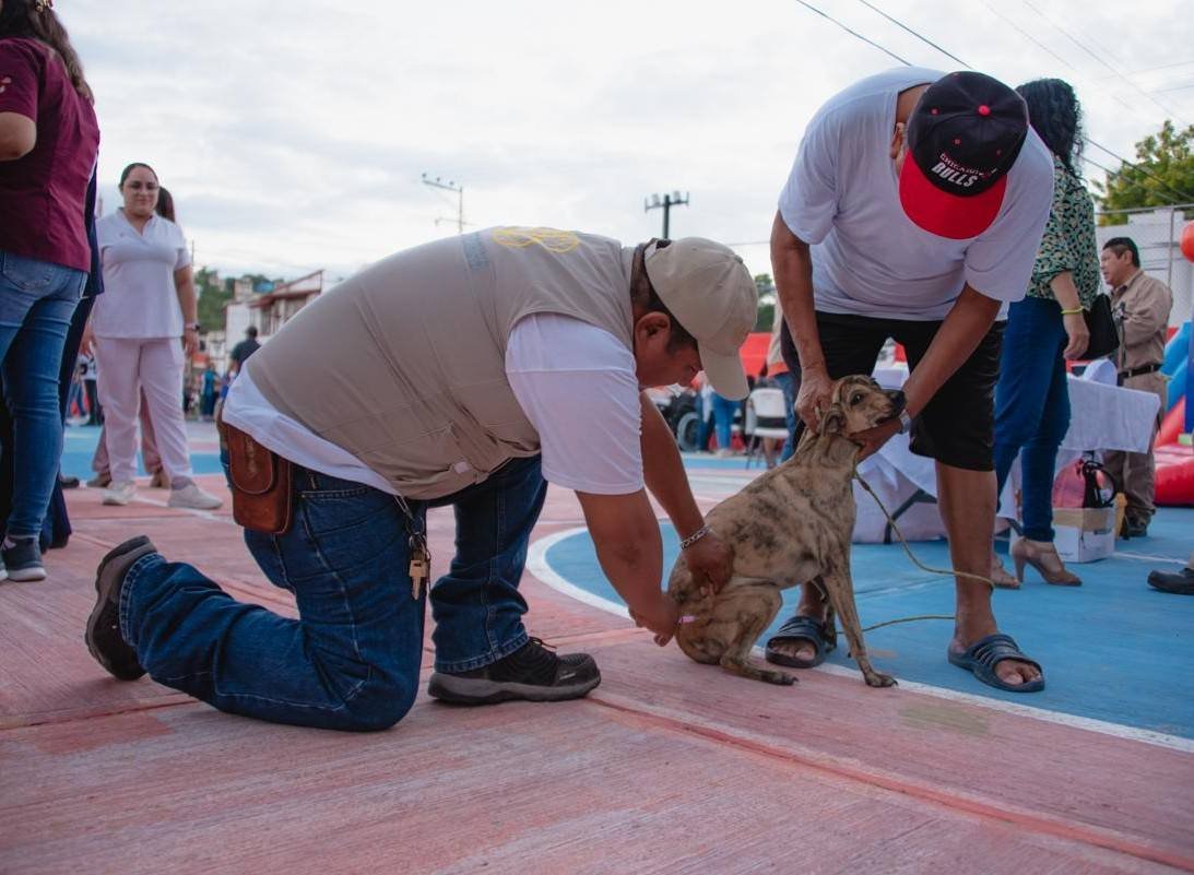 EN CAMPECHE YA SE VACUNARON CONTRA LA RABIA A 24 MIL 752 PERROS Y GATOS