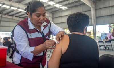 LLAMAN A VACUNARSE CONTRA LA INFLUENZA