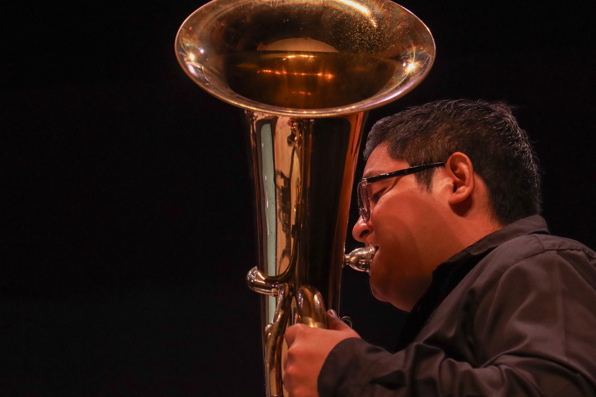 Banda De Música Del Gobierno De Campeche Dedica Programa El Carnaval De Los Animales A Niñas Y Niños