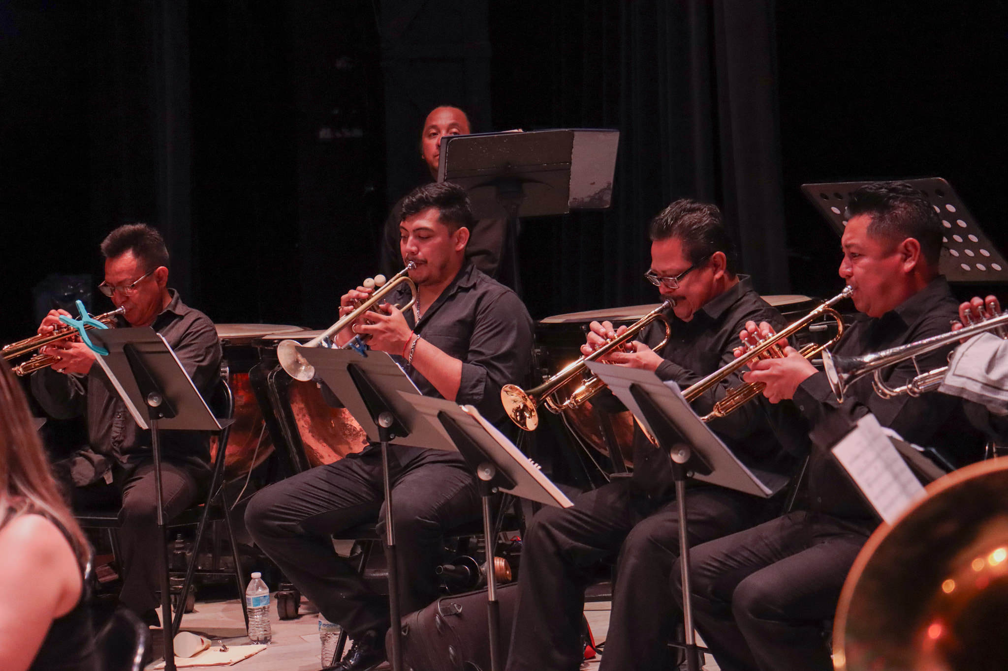 Banda De Música Del Gobierno De Campeche Dedica Programa El Carnaval De Los Animales A Niñas Y Niños