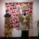 DEL TELAR AL TEATRO: CUANDO EL VESTUARIO INDÍGENA COBRA VIDA