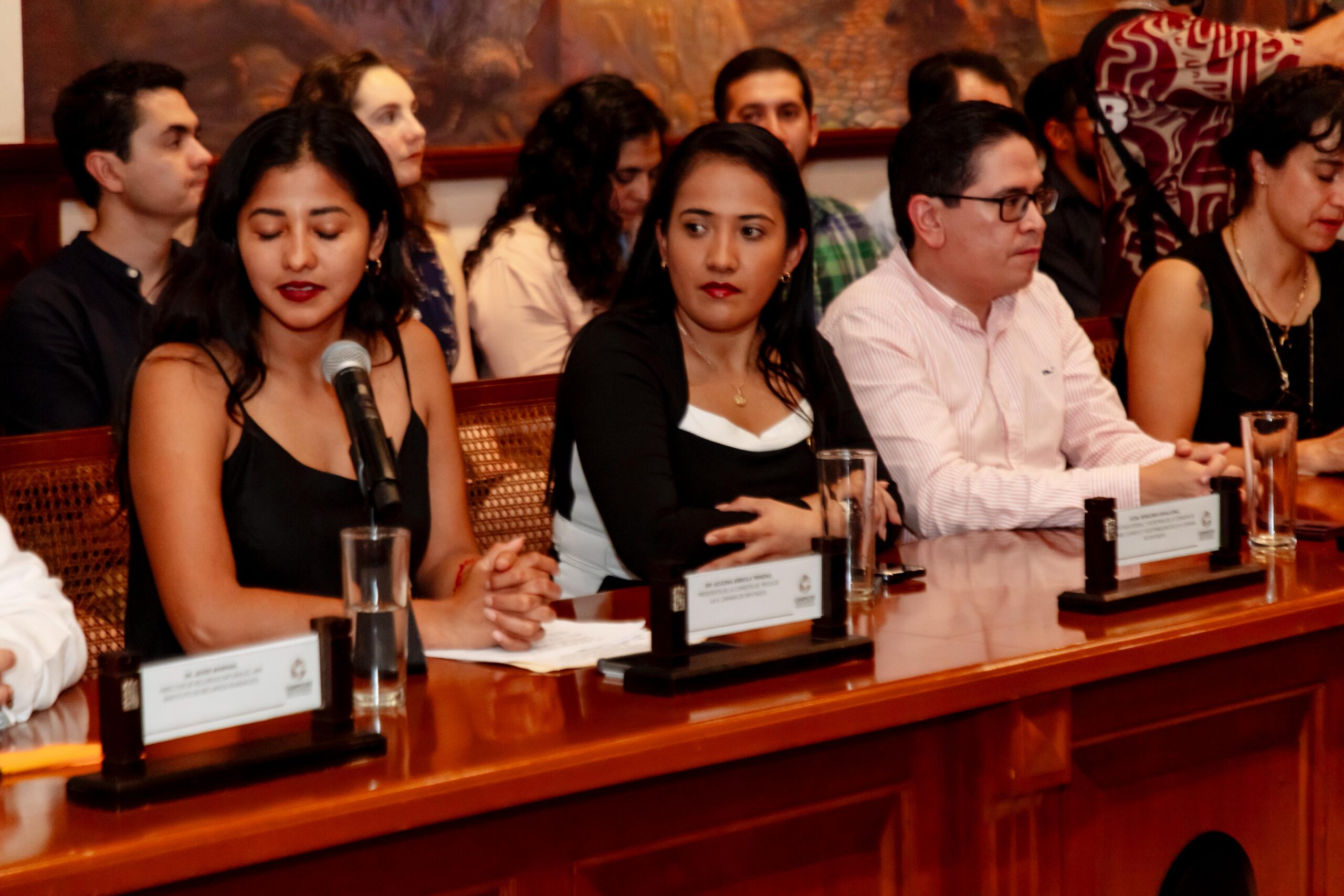 LA GOBERNADORA LAYDA SANSORES SE REÚNE CON LA DIRECTORA DE LA CFE PARA REFORZAR LA COORDINACIÓN ENERGÉTICA