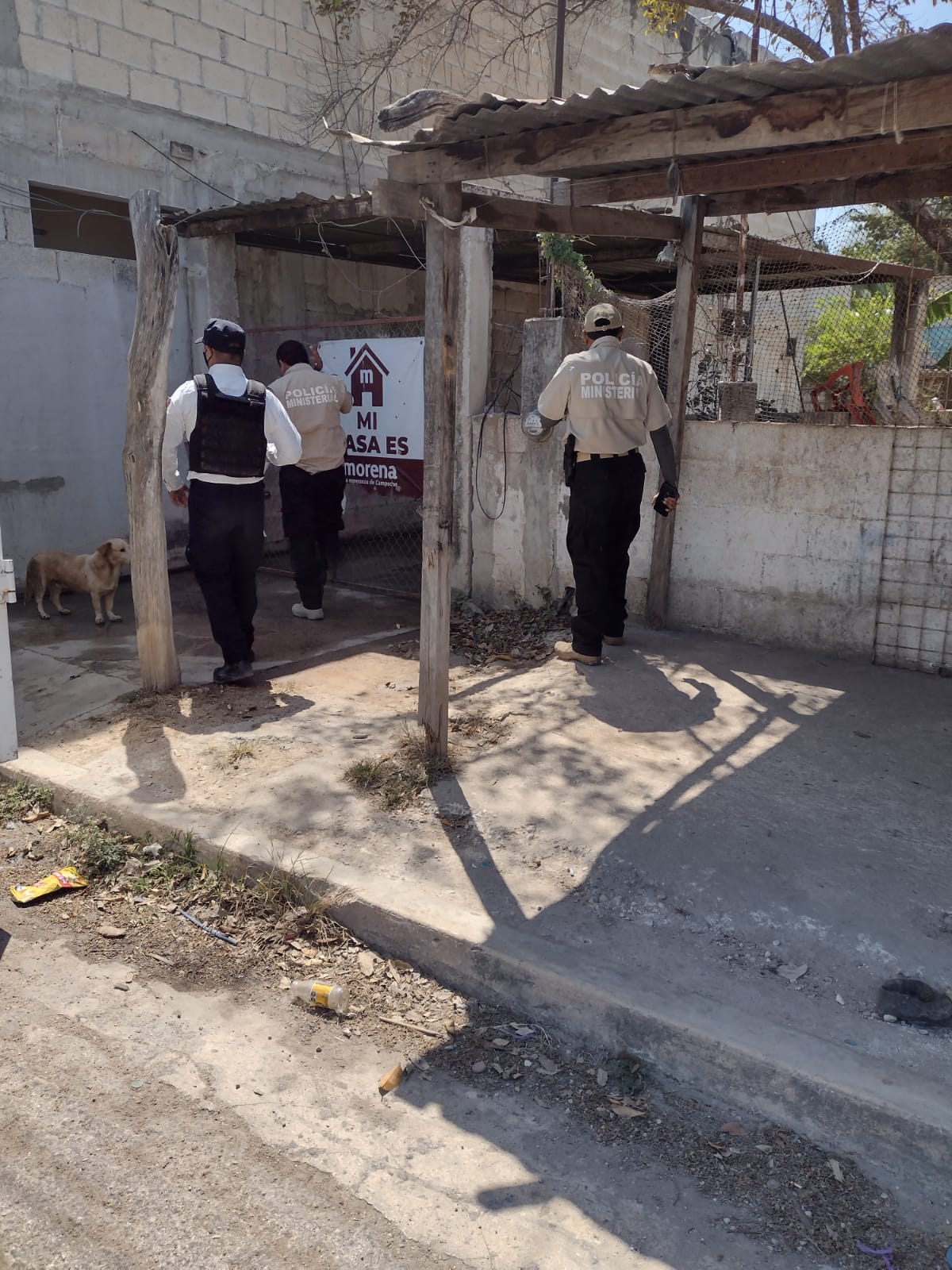 …Guardia Nacional, Ejército Mexicano y Armada de México apoyan en la vigilancia
