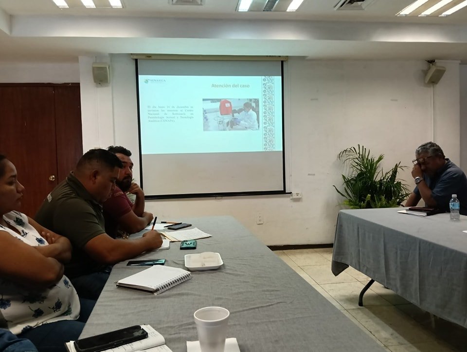 SIN CASOS REPORTADOS DE GUSANO BARRENADOR EN EL ESTADO