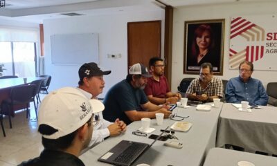 SIN CASOS REPORTADOS DE GUSANO BARRENADOR EN EL ESTADO