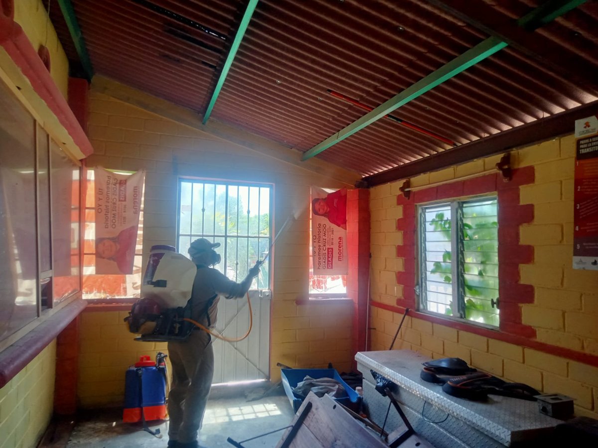 REFUERZAN PREVENCIÓN DEL CHAGAS EN CAMPECHE