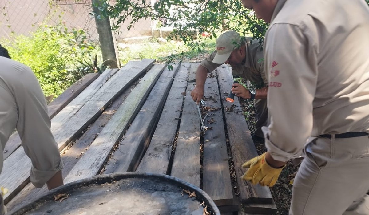 REFUERZAN PREVENCIÓN DEL CHAGAS EN CAMPECHE