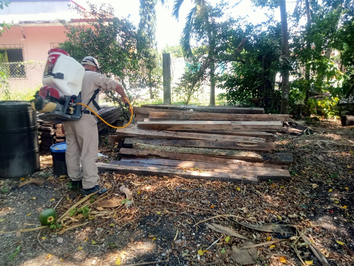 REFUERZAN PREVENCIÓN DEL CHAGAS EN CAMPECHE