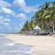 CON ALIANZAS, LOGRAMOS IMPULSAR UNA NUEVA POLÍTICA CLIMÁTICA PARA CAMPECHE