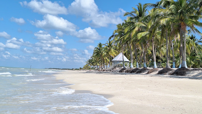 CON ALIANZAS, LOGRAMOS IMPULSAR UNA NUEVA POLÍTICA CLIMÁTICA PARA CAMPECHE