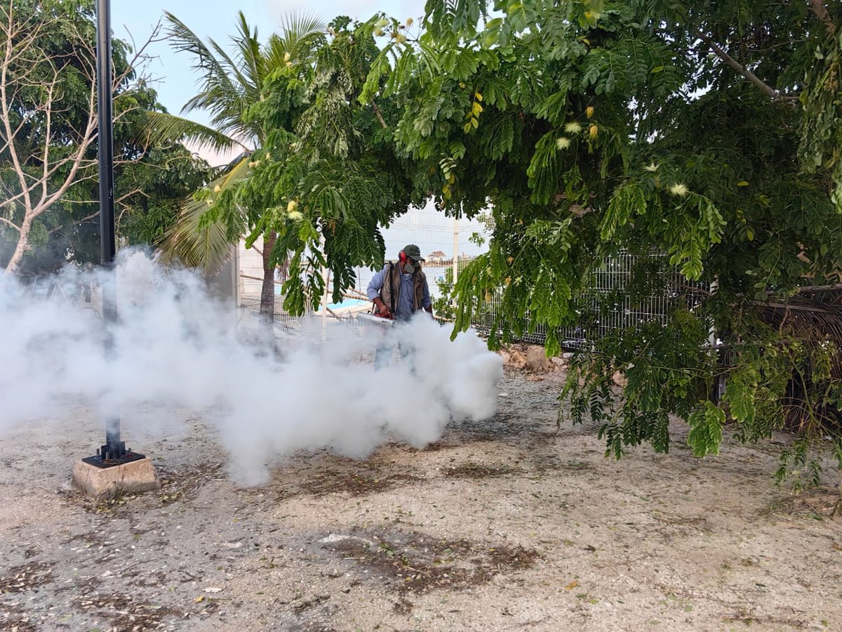 INTENSIFICA SALUD COMBATE AL DENGUE EN CAMPECHE