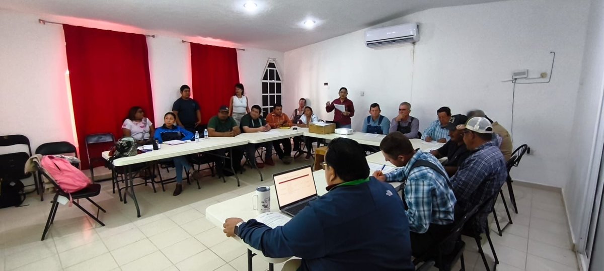 ATENCIÓN CONTINUA A PROTECCIÓN DE ABEJAS
