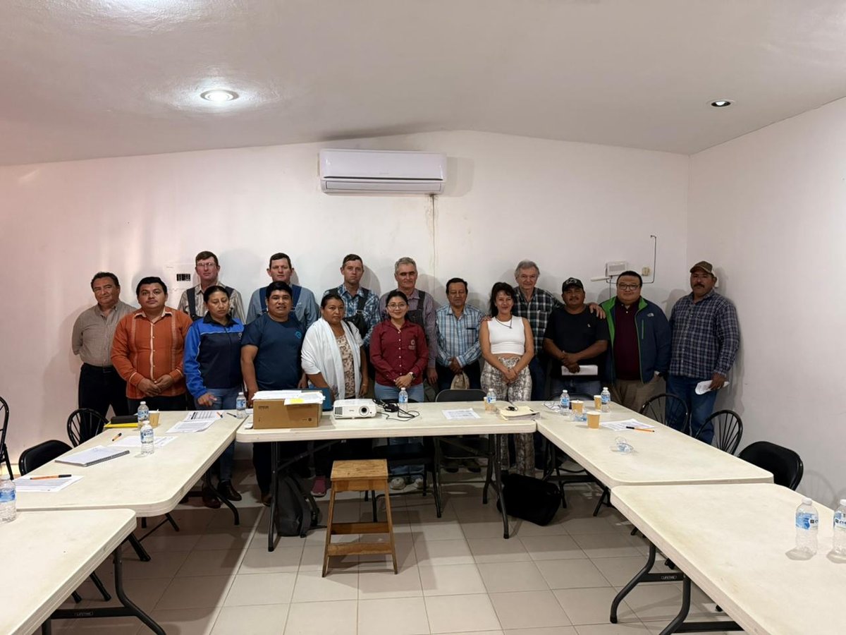 ATENCIÓN CONTINUA A PROTECCIÓN DE ABEJAS
