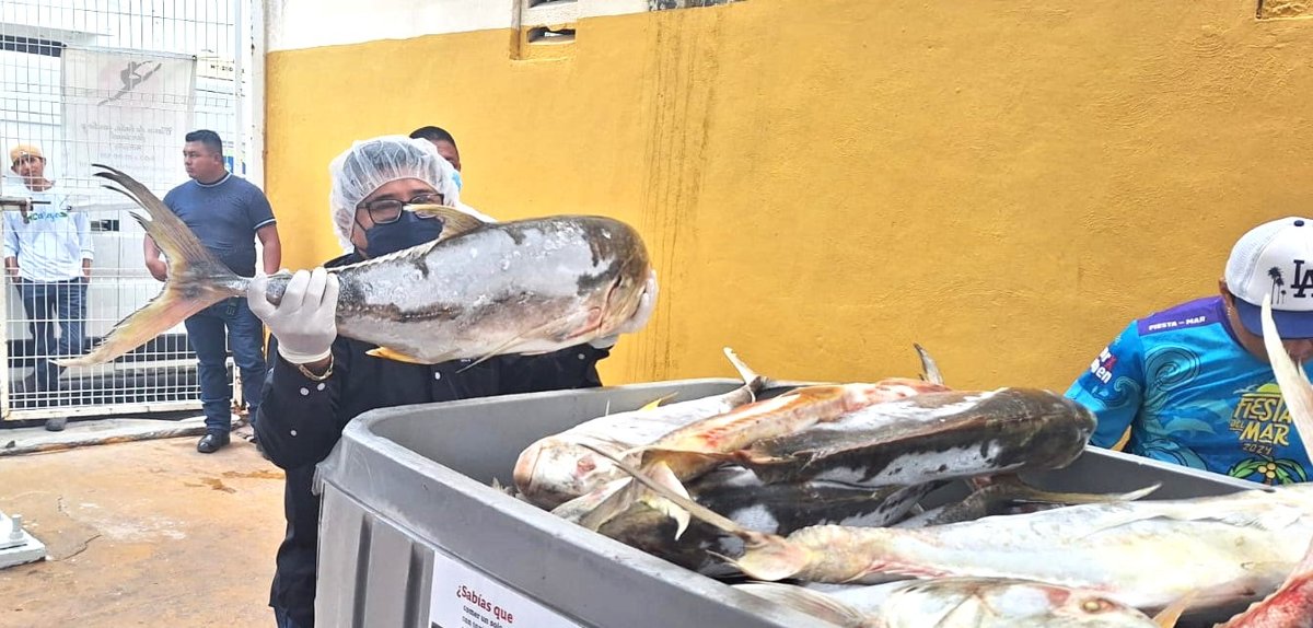 OPERATIVO EN CUARESMA PARA EVITAR RIESGOS SANITARIOS EN EL ESTADO