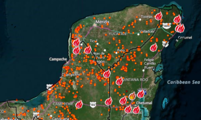 SITUACIÓN DE INCENDIOS FORESTALES