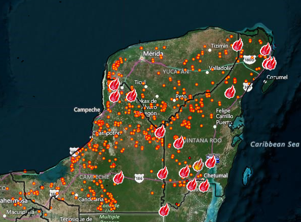 SITUACIÓN DE INCENDIOS FORESTALES