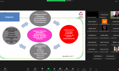 CURSO VIRTUAL: INTRODUCCIÓN AL CONTROL INTERNO INSTITUCIONAL