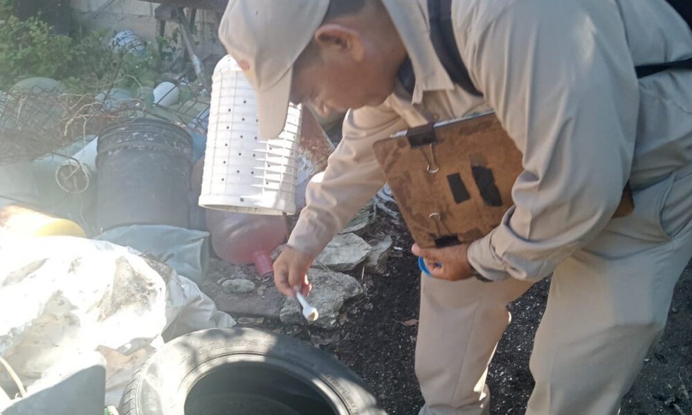 ELIMINAN CRIADEROS DE MOSQUITOS EN LOS 13 MUNICIPIOS CON CONTROL LARVARIO